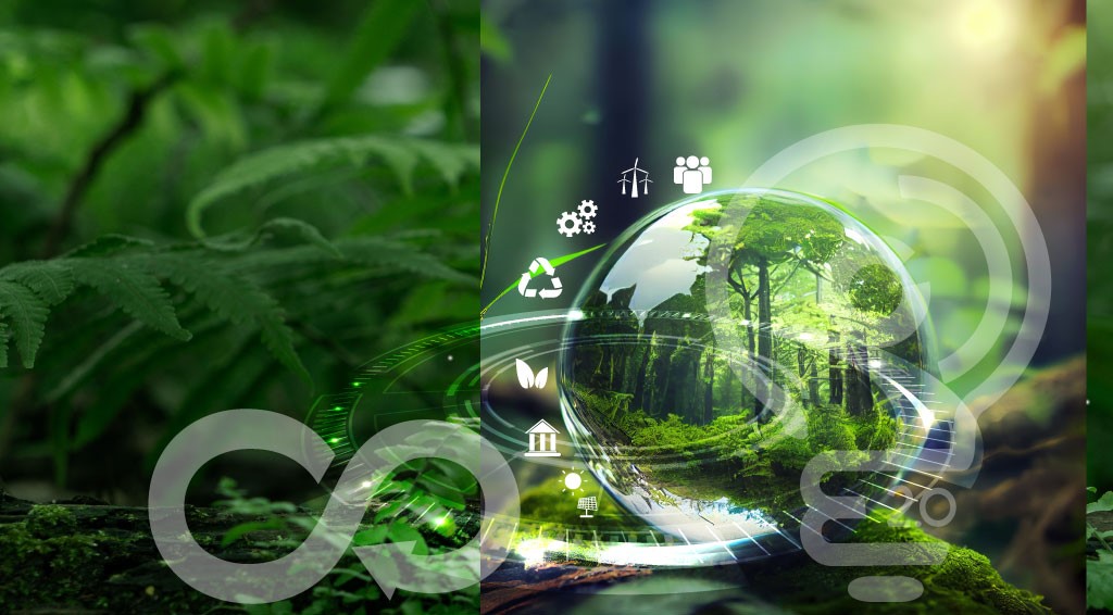 Governance and sustainability: the effort of CustoM 2.0